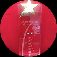 Four Star Service Award